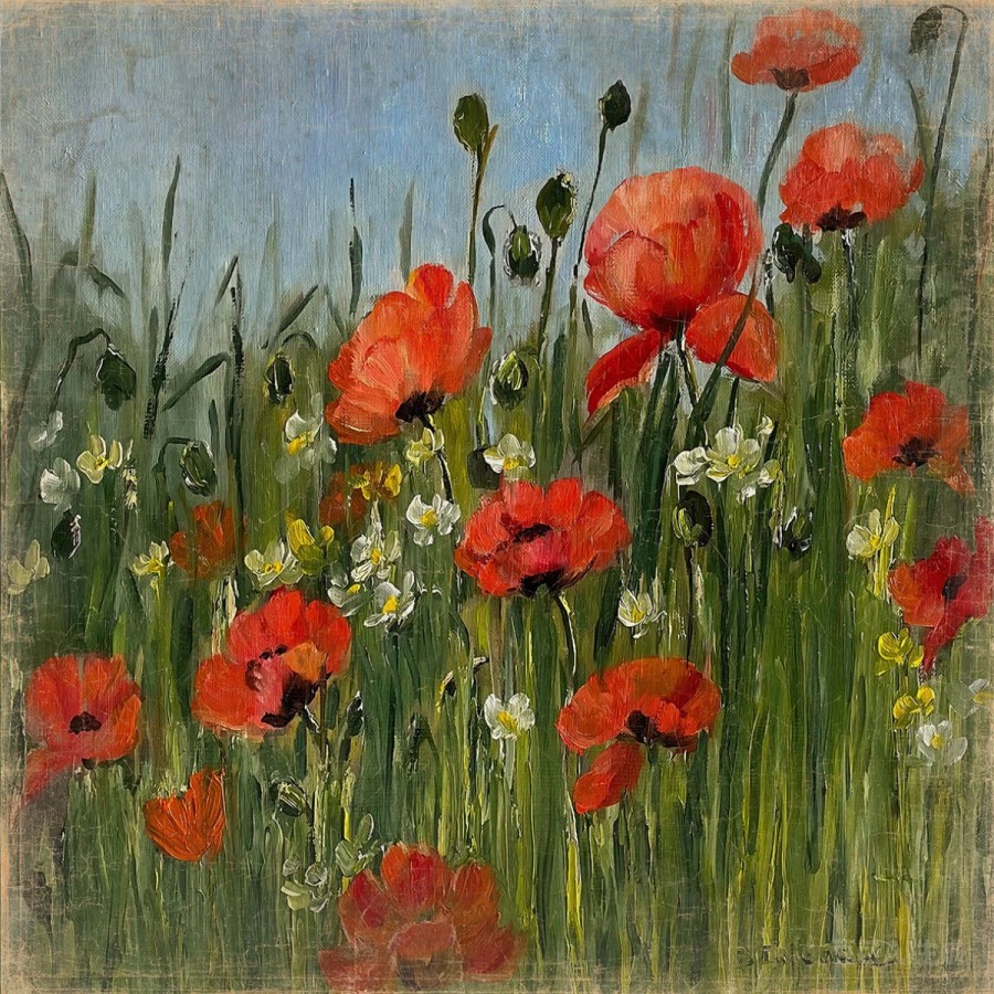 COQUELICOTS EN PLEIN CIEL (150x150cm)